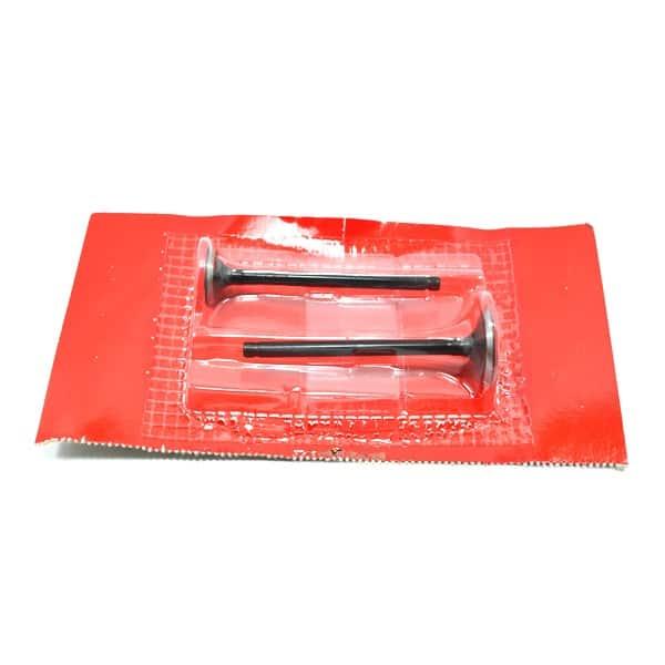 Klep Set, Valve Set Honda BeAT Karbu