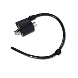 [30510K93N01] Coil Pengapian Honda Scoopy eSP (K93)