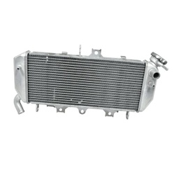[19010K64N01] Radiator Honda New CBR 250RR K64
