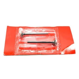 [147A1KPH900] Klep Set, Valve Set Honda Kharisma