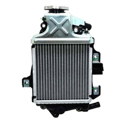 [19100K60B00] Radiator Honda  Vario 125 eSP