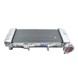 [19010K15921] Radiator Honda New CB150R Streetfire K15G